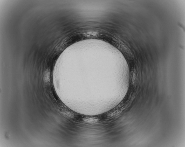 X0000096710561200803041343