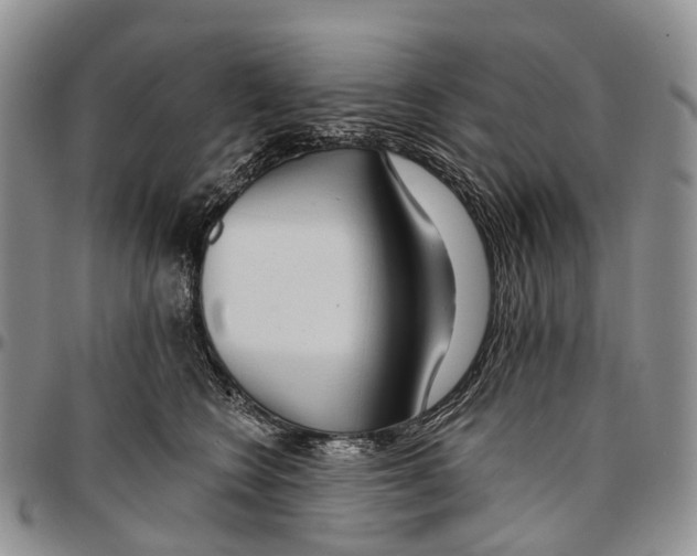 X0000096710566200803041343