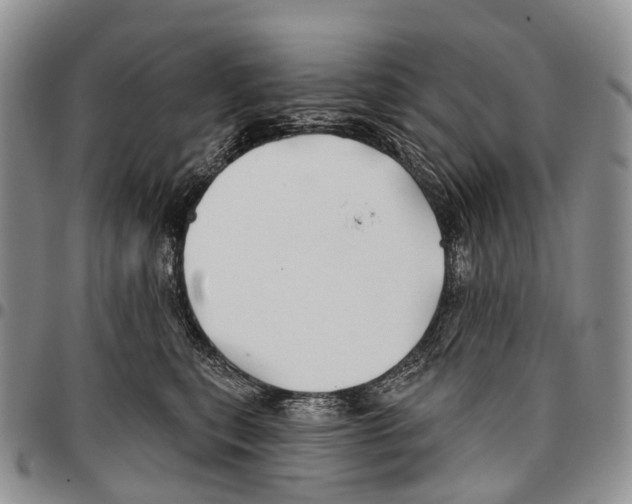 X0000096710567200803041343