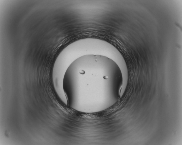 X0000096710568200803041343