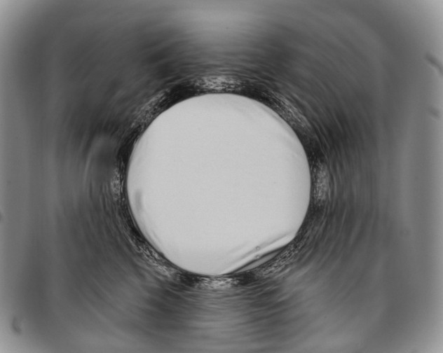 X0000096710569200803041343