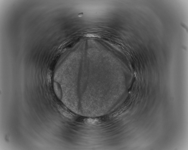 X0000096710570200803041343