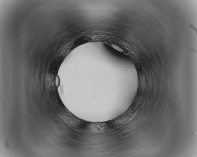 X0000096710571200803041343