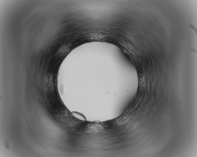 X0000096710572200803041343