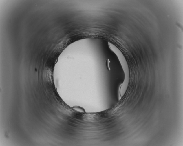 X0000096710575200803041343