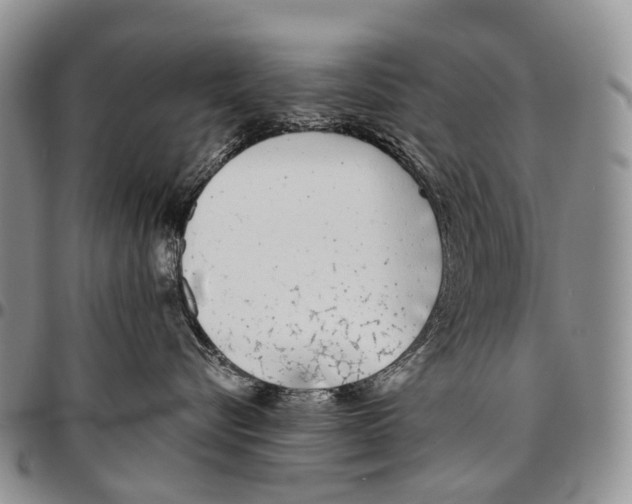 X0000096710576200803041343