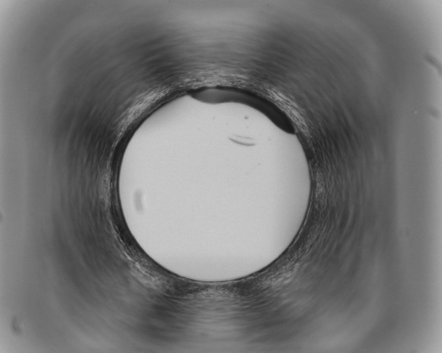 X0000096710578200803041343