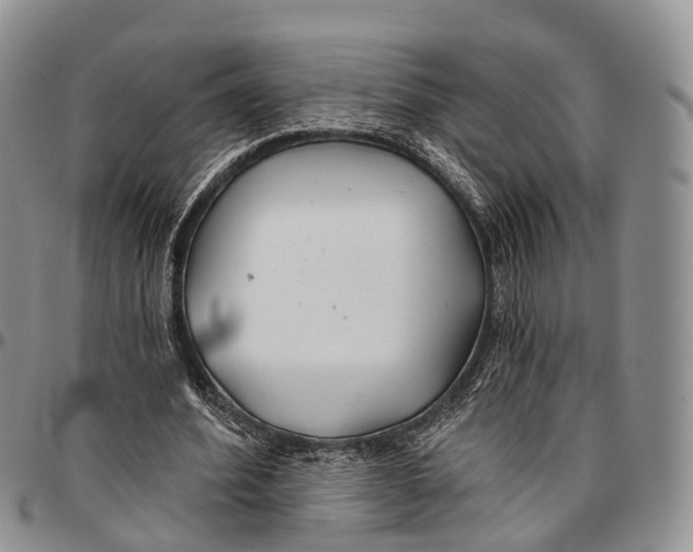 X0000096710580200803041343