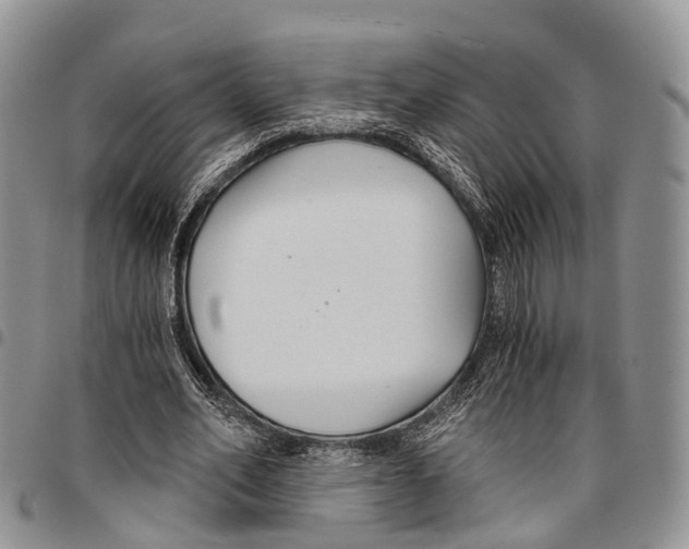 X0000096710582200803041343