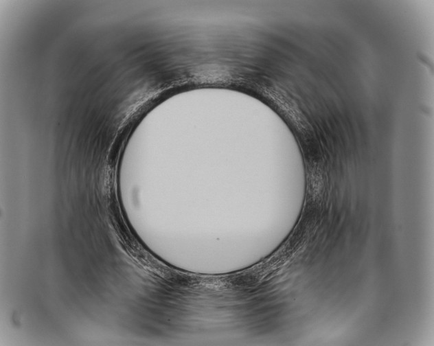 X0000096710583200803041343