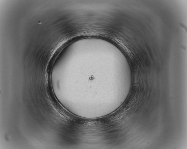 X0000096710584200803041343