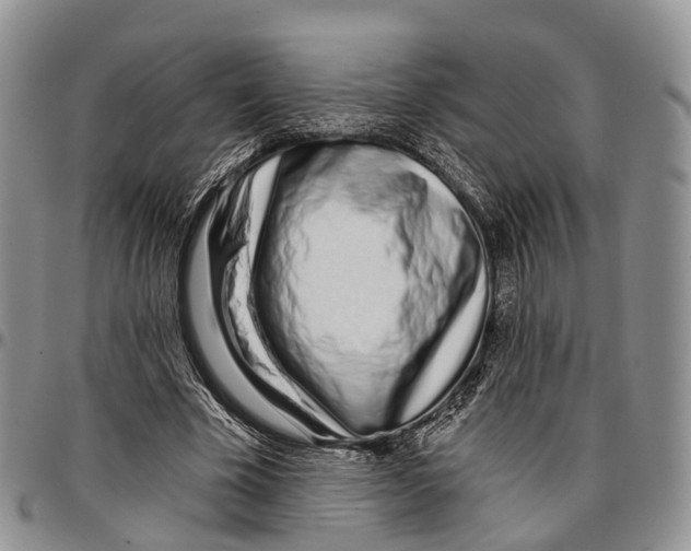 X0000096710585200803041343