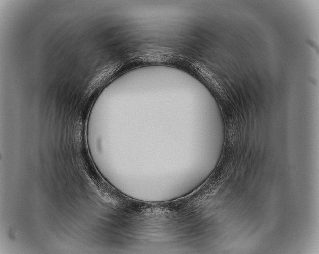 X0000096710586200803041343