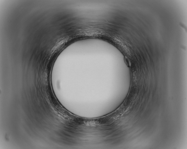 X0000096710587200803041343