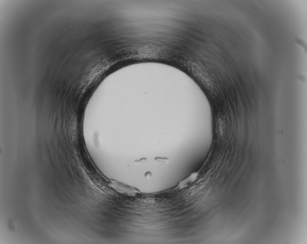 X0000096710588200803041343