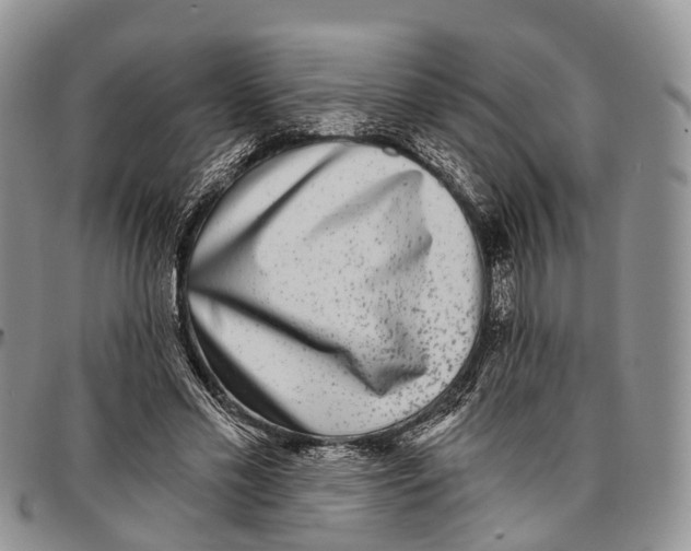 X0000096710589200803041343