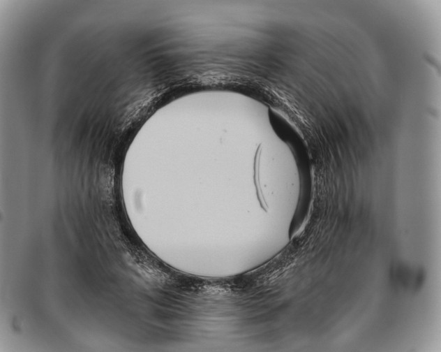 X0000096710592200803041343