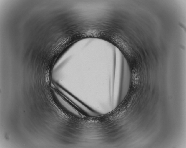 X0000096710593200803041343