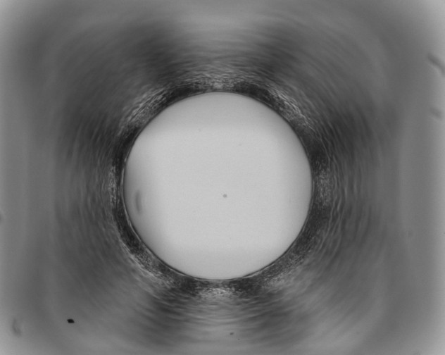 X0000096710594200803041343