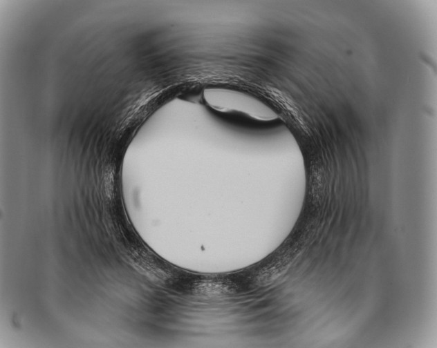 X0000096710596200803041343