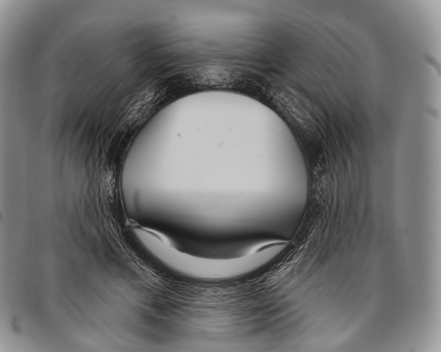 X0000096710597200803041343