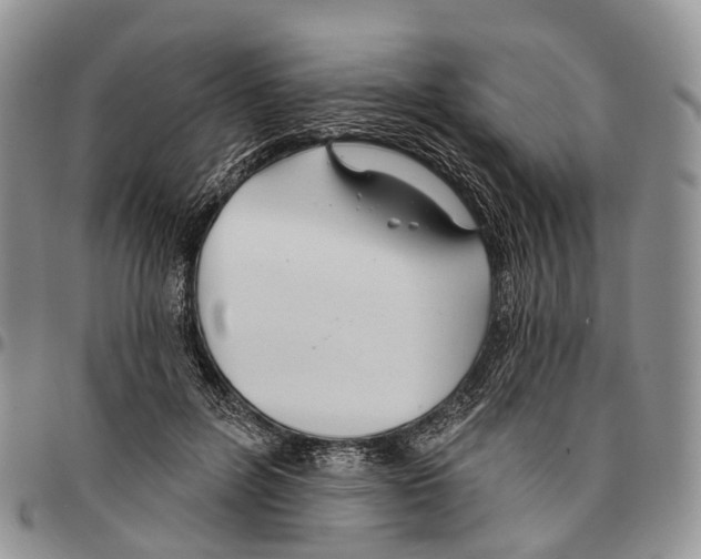 X0000096710600200803041342