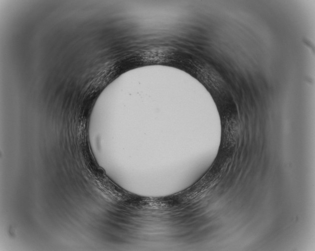 X0000096710601200803041342