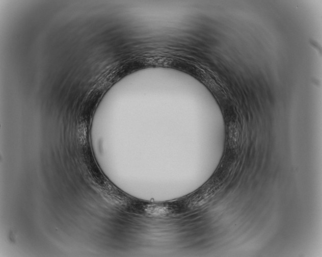 X0000096710602200803041342