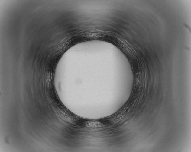 X0000096710605200803041342