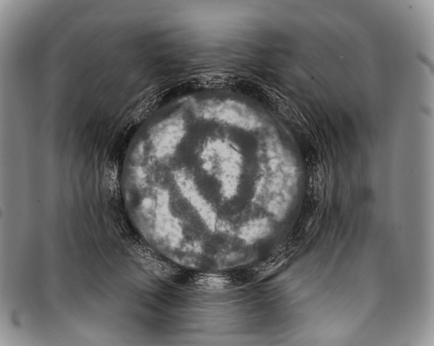 X0000096710610200803041342