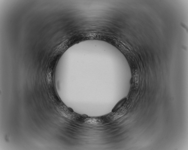 X0000096710611200803041342