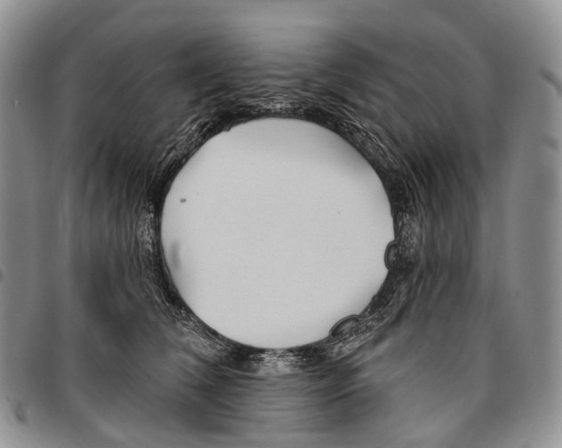 X0000096710612200803041342