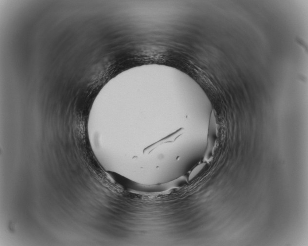 X0000096710613200803041342