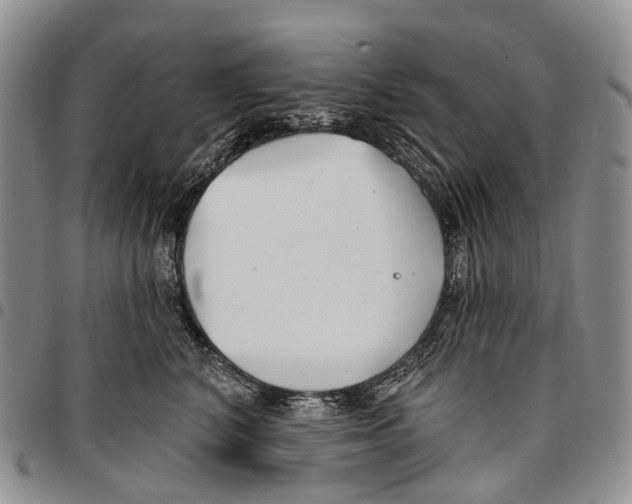 X0000096710616200803041342