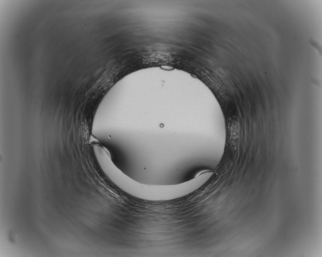 X0000096710617200803041342