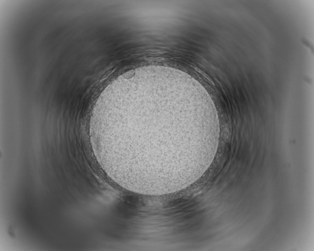 X0000096710618200803041342