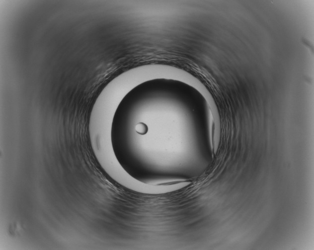 X0000096710621200803041342