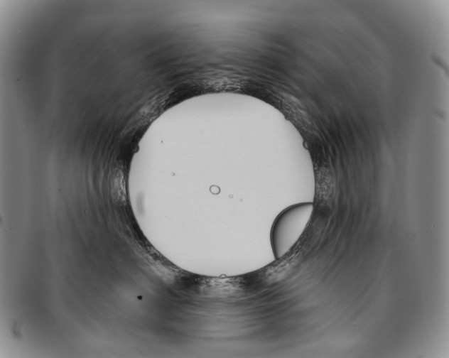 X0000096710622200803041342