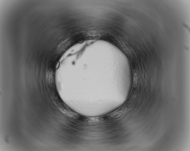 X0000096710623200803041342