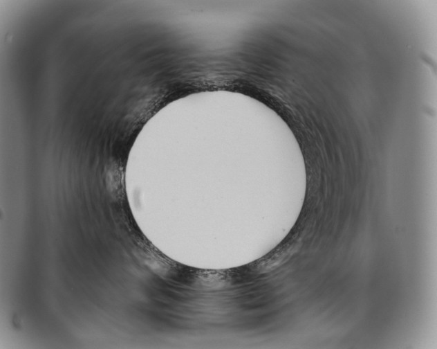 X0000096710624200803041342