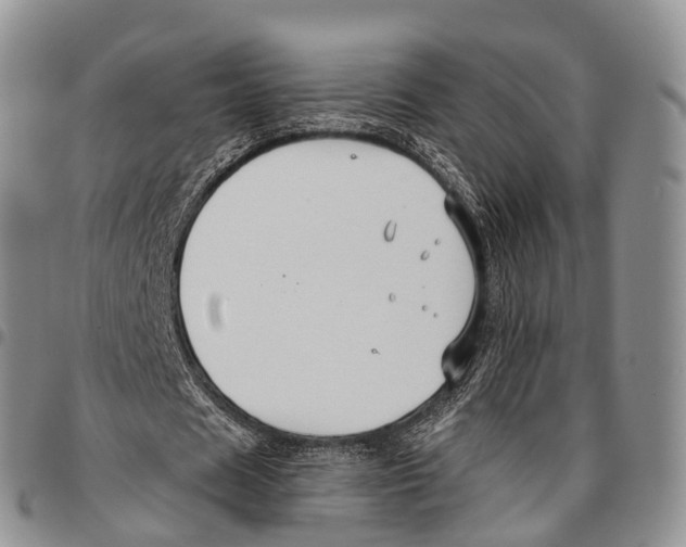 X0000096710625200803041341