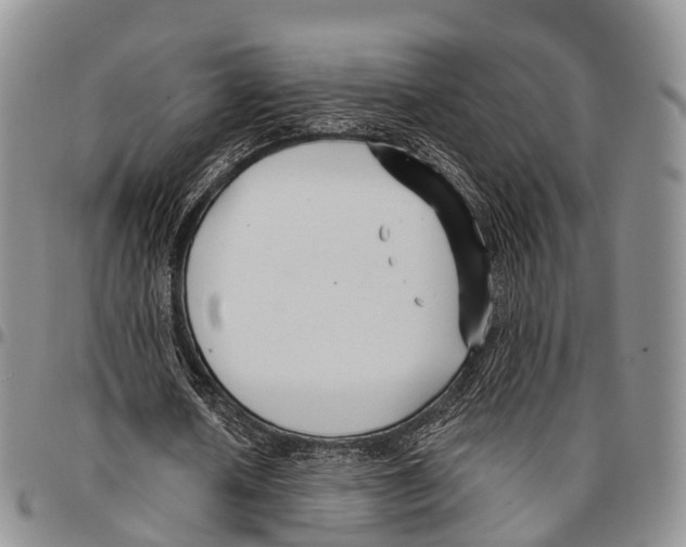 X0000096710626200803041341