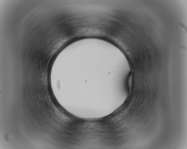 X0000096710629200803041341