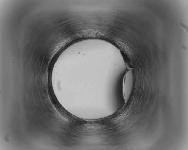 X0000096710630200803041342