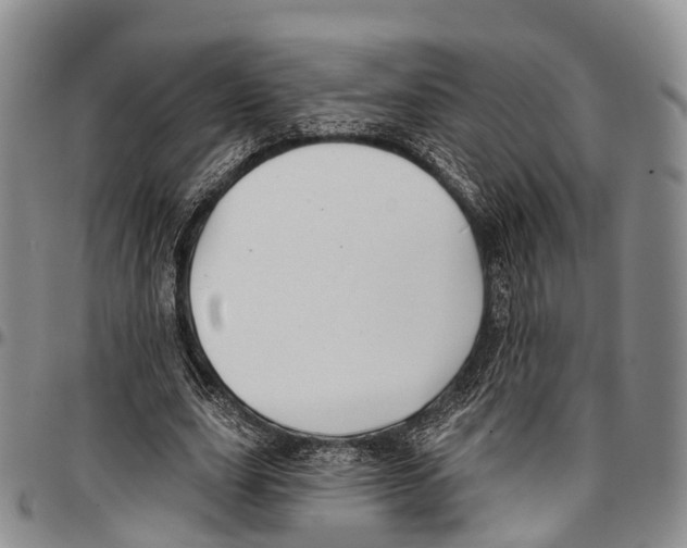 X0000096710631200803041342