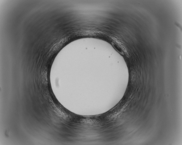 X0000096710633200803041342