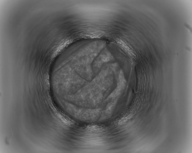 X0000096710634200803041342