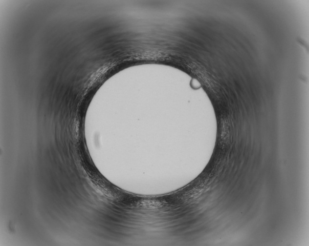 X0000096710636200803041342