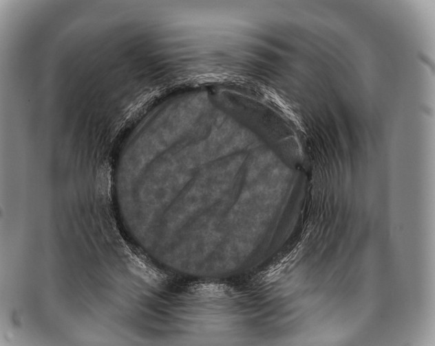 X0000096710637200803041342