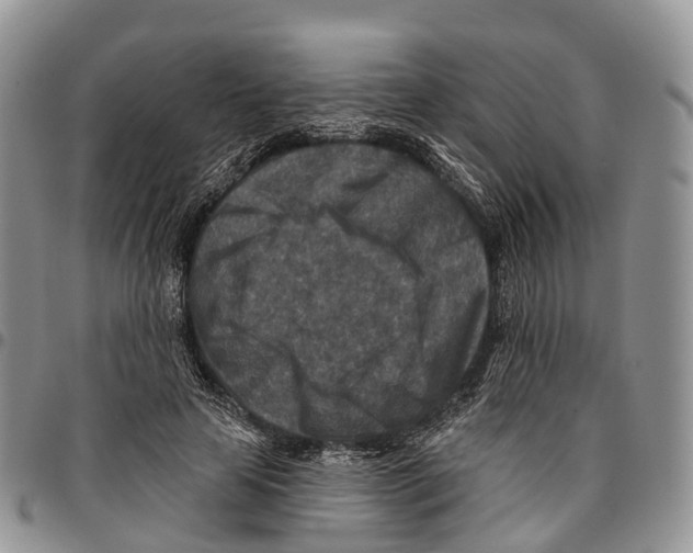 X0000096710641200803041342